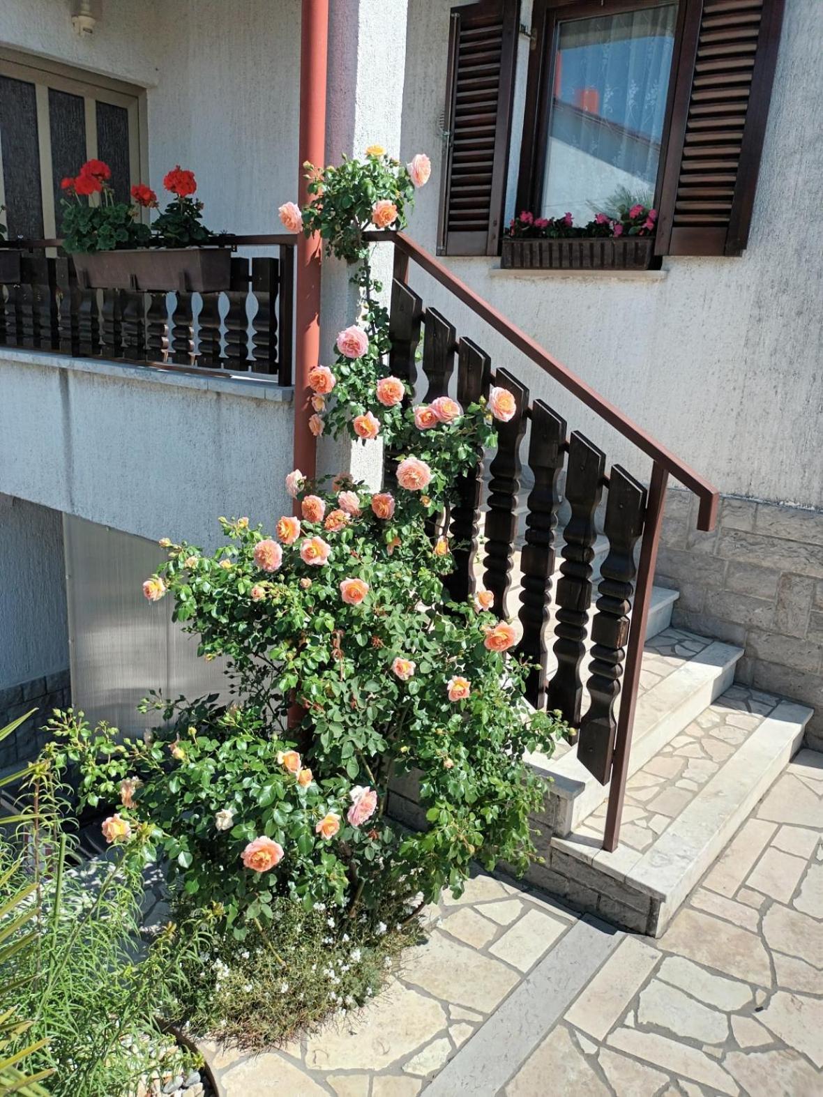 Apartments Peric Opatija Dış mekan fotoğraf